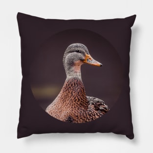 Miss Mallard Duck Photograph Pillow