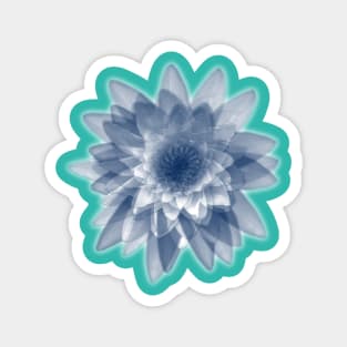 Lotus flowers in blue Magnet