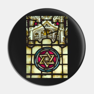 The Star Of David Pin