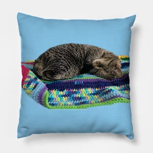 Sleeping Cutie Pillow