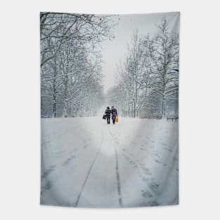women walks the snowy street Tapestry