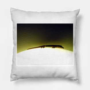 Moon Lizard Pillow