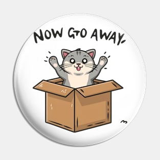 Funny Cat sitting in empty box Pin