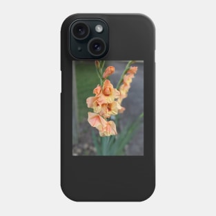 Stalk of Peach Flowers Photographic Image Phone Case