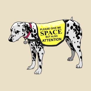 Please Give Me Space But Also Attention T-Shirt