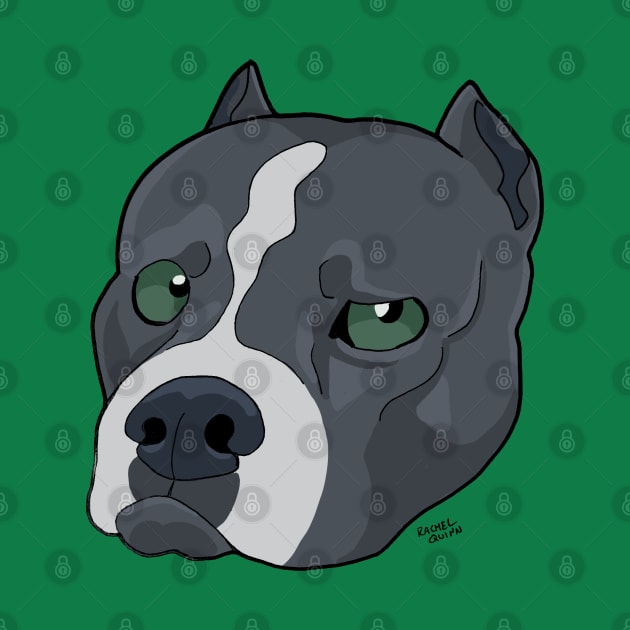 American Bully by ApolloOfTheStars