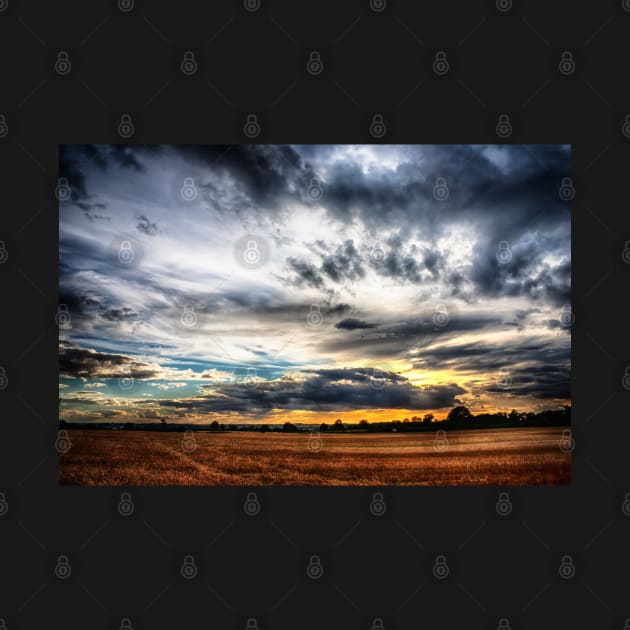 Sunset over wheat fields by InspiraImage