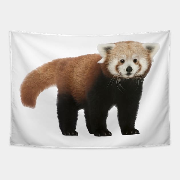 Cute Red Panda Tapestry by Endangered Animals