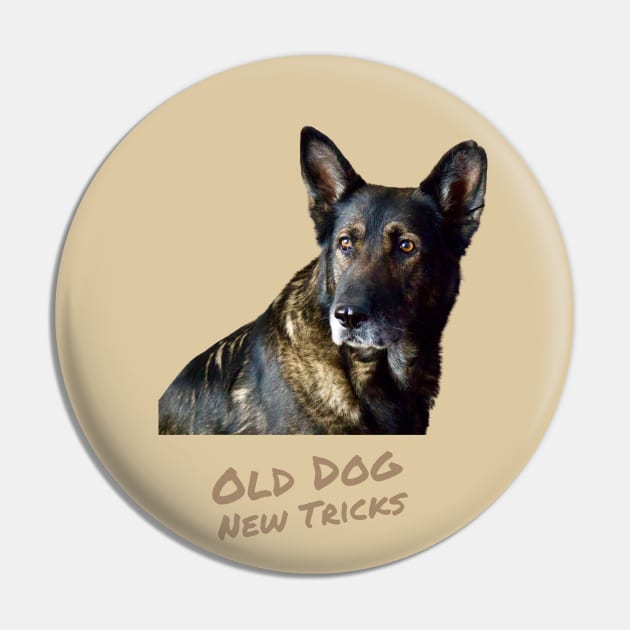 German Shepherd - Old Dog New Tricks Pin by Print Magic Studios