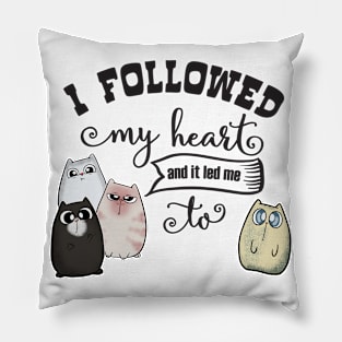 Followed my Heart lead me to Cute Cat Pillow