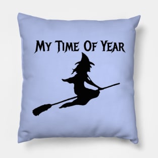 Witch on Broomstick, Halloween Witch, Wicked Witch Pillow