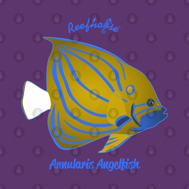 Annularis Angelfish by Reefhorse