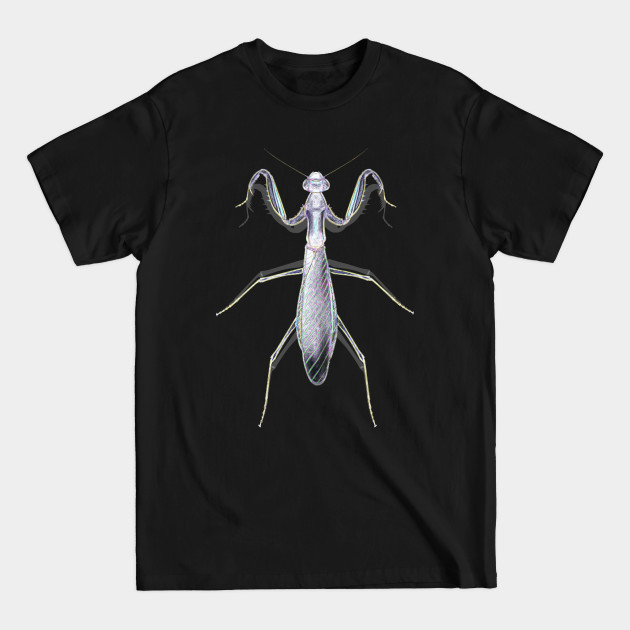 Discover Ghost Mantis - Insect - T-Shirt