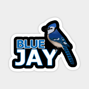 jz.birds Blue Jay Bird Watching Birder Design Magnet