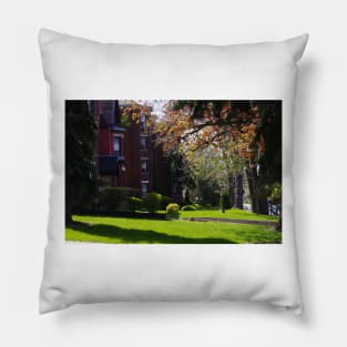 Hamilton Neighbourhood Pillow