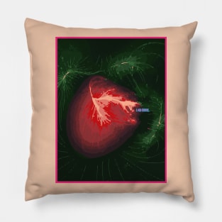 The Laniakea Supercluster Galaxy. Pillow