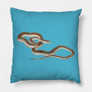 serpent,cobra,reptile,viper,venom,lizard,rattlesnake,king cobra Pillow