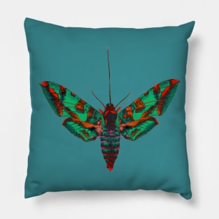 Psychedelic Moth Pillow