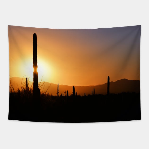 Desert Drama Tapestry by DeniseBruchmanPhotography