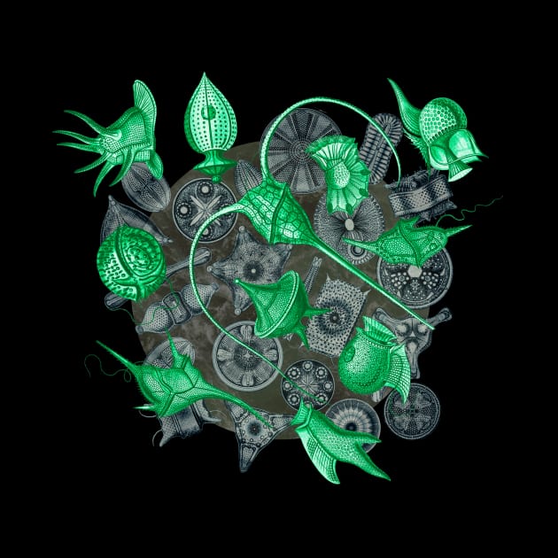 Ernst Haeckel Green Peridinea on Cerulean  Diatoms by Scientistudio