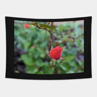 Rose Bud 1 Tapestry