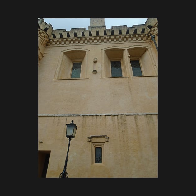 Architectural Detail of The Great Hall, Stirling Castle by MagsWilliamson