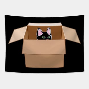 Black Kitten Peeking from Cardboard Box Tapestry