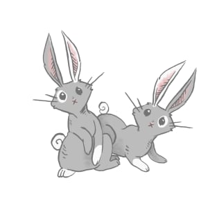 Curious Pair of Rabbits T-Shirt