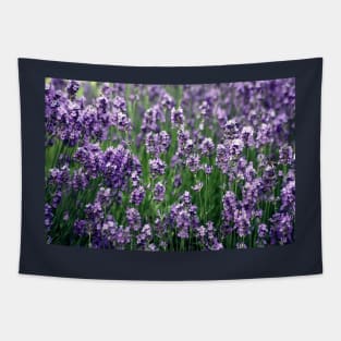 Violet flower fields Tapestry