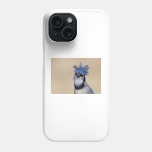 Is that you Don King? Blue Jay Phone Case