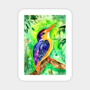 Colorful Dwarf Kingfisher Magnet