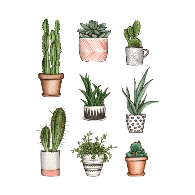 cute home plants by alenaganzhela