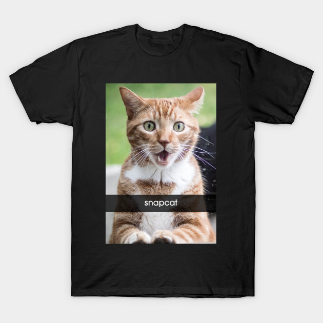 snapcat t shirt snapchat t shirt teepublic