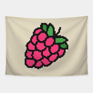 Raspberry Pixel Art Tapestry