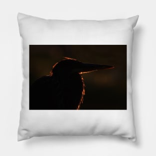 Blue Light - Great Blue Heron Pillow