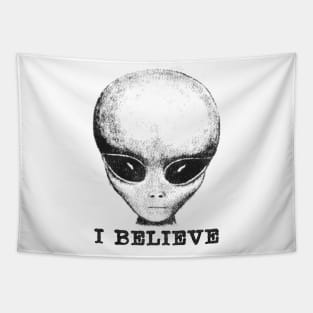 I Believe / UFO Alien Tapestry