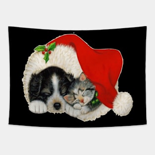 Dog n cat xmas Tapestry