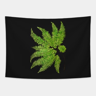 Rare maidenhair fern botanical illustration Tapestry