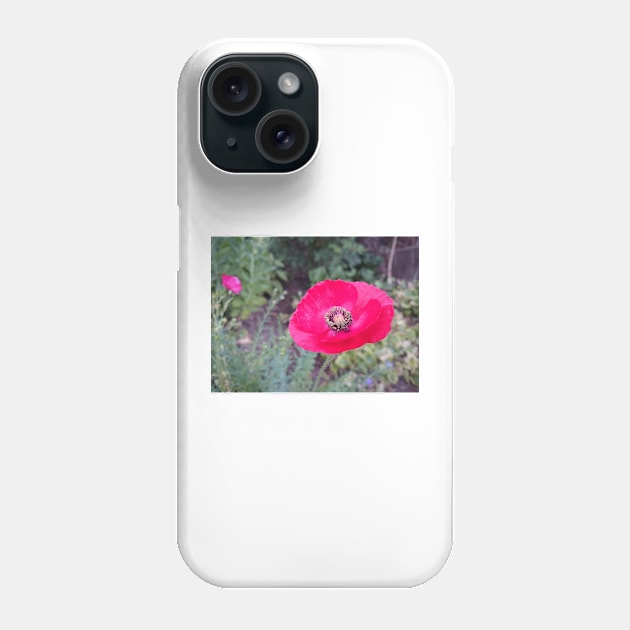 Red silk poppy Phone Case by Gourmetkater