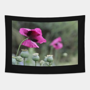 Magenta Poppies Tapestry