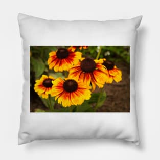 Helianthus Pillow