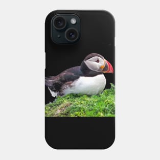 Puffin Phone Case