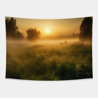 Sunrise over a green meadow fog rises in the summer Tapestry