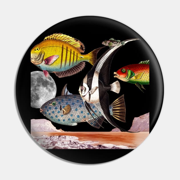 Fish World Collage Pin by snexus