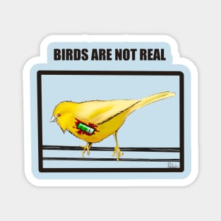 Birds Are Not Real Magnet