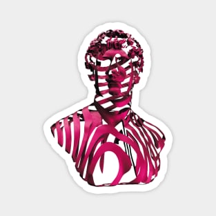 PINK ZEBRA Magnet