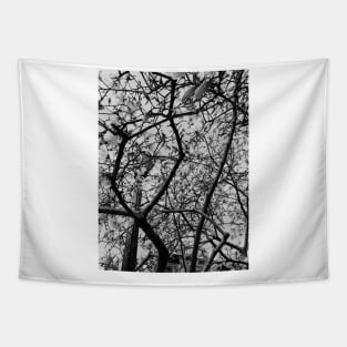 Black and White Flowers, Photography Tapestry