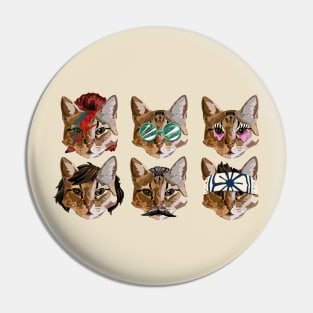 Cat Faces Pin