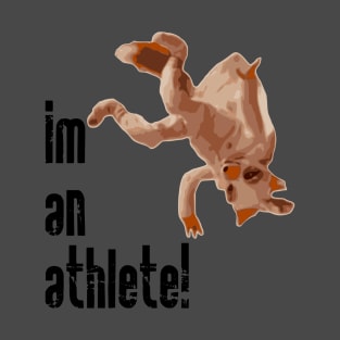 im an athlete! T-Shirt