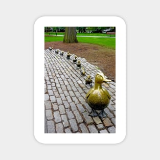 Make Way for Ducklings Study 1 Magnet